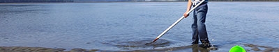 Clamming in Netarts Bay